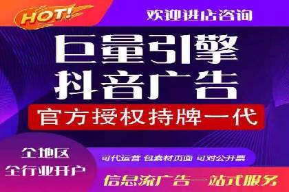 高效SEM托管公司案例对比分析
